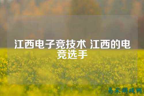 江西电子竞技术 江西的电竞选手