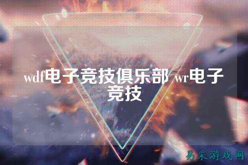 wdf电子竞技俱乐部 wr电子竞技