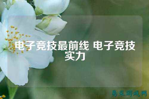 电子竞技最前线 电子竞技实力