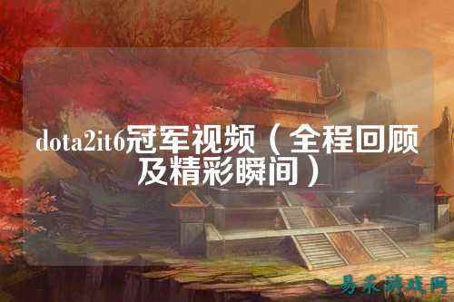dota2it6冠军视频(全程回顾及精彩瞬间)