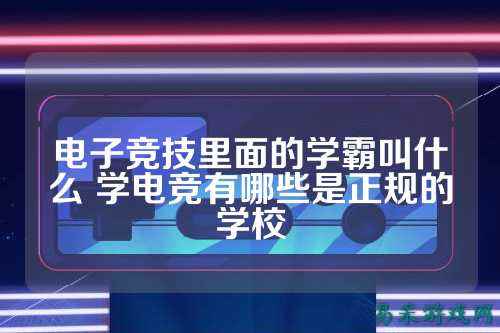 电子竞技里面的学霸叫什么 学电竞有哪些是正规的学校