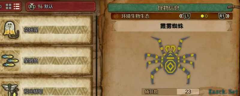 怪物猎人荒野霞雾蜘蛛在哪里