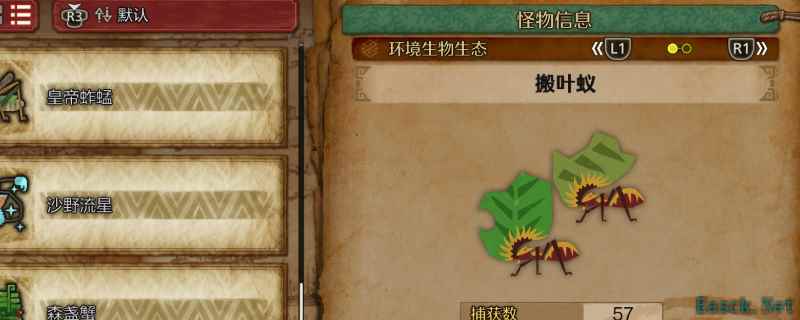 怪物猎人荒野搬叶蚁在哪里