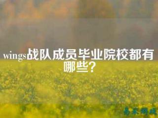 电子竞技 吴军 电竞吴京
