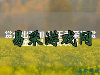 电子竞技社团利润 电竞社团有什么职位