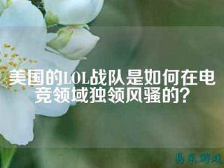 派克威尔电子竞技学院 派克微电子