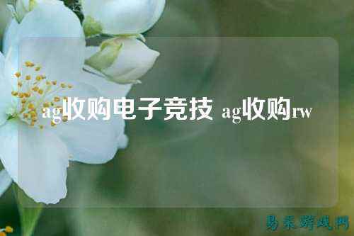 ag收购电子竞技 ag收购rw