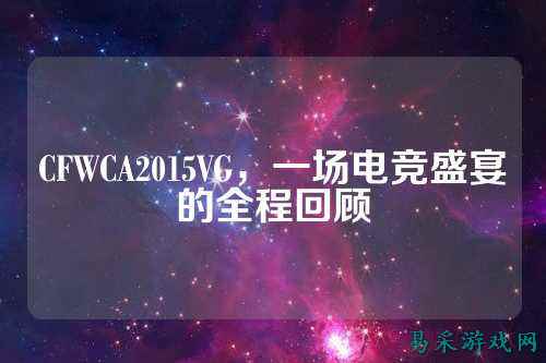 CFWCA2015VG，一场电竞盛宴的全程回顾