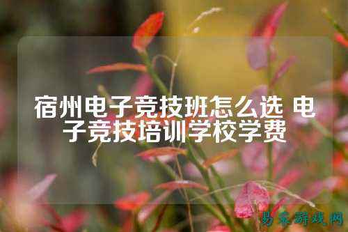 宿州电子竞技班怎么选 电子竞技培训学校学费