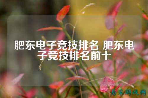 肥东电子竞技排名 肥东电子竞技排名前十