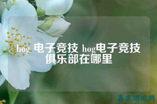 hog 电子竞技 hog电子竞技俱乐部在哪里