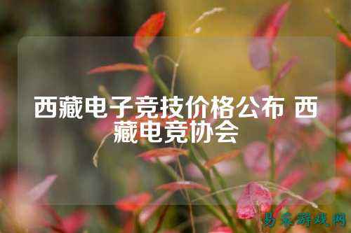 西藏电子竞技价格公布 西藏电竞协会