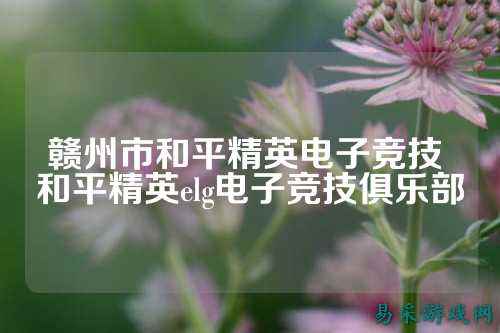 赣州市和平精英电子竞技 和平精英elg电子竞技俱乐部