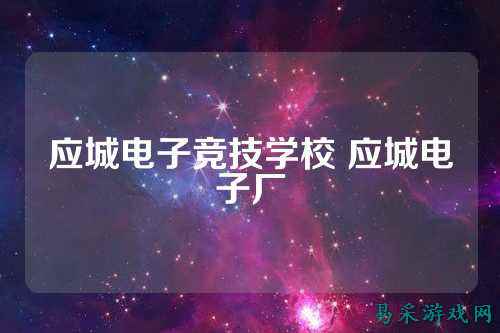 应城电子竞技学校 应城电子厂