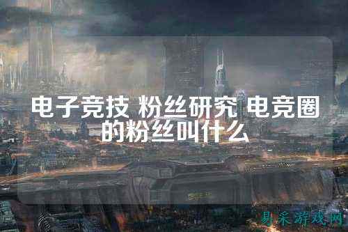 电子竞技 粉丝研究 电竞圈的粉丝叫什么