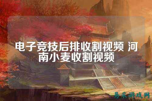电子竞技后排收割视频 河南小麦收割视频