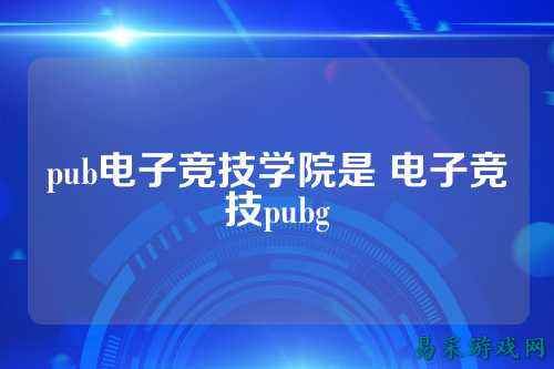 pub电子竞技学院是 电子竞技pubg