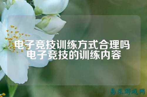 电子竞技训练方式合理吗 电子竞技的训练内容