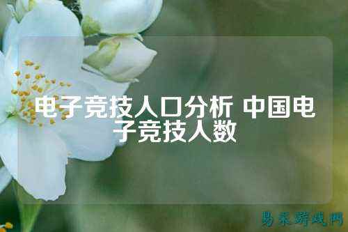 电子竞技人口分析 中国电子竞技人数