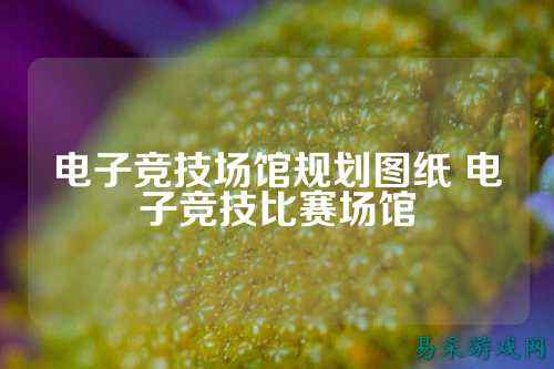 电子竞技场馆规划图纸 电子竞技比赛场馆