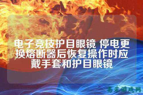 电子竞技护目眼镜 停电更换熔断器后恢复操作时应戴手套和护目眼镜