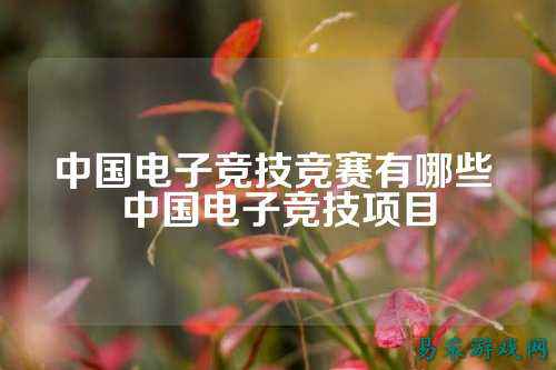 中国电子竞技竞赛有哪些 中国电子竞技项目