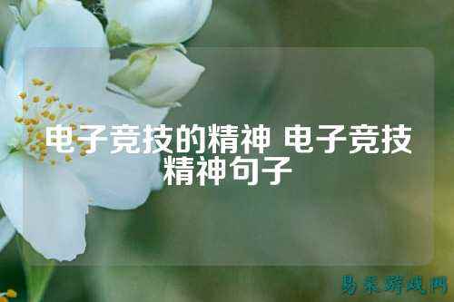 电子竞技的精神 电子竞技精神句子