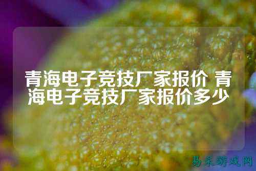 青海电子竞技厂家报价 青海电子竞技厂家报价多少