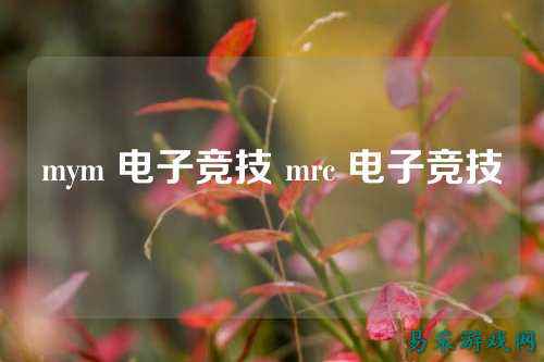 mym 电子竞技 mrc 电子竞技