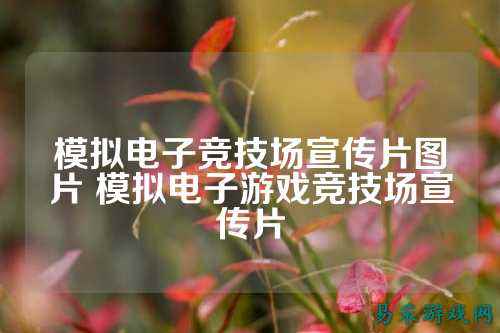 模拟电子竞技场宣传片图片 模拟电子游戏竞技场宣传片