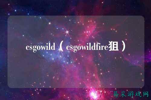 csgowild(csgowildfire狙)