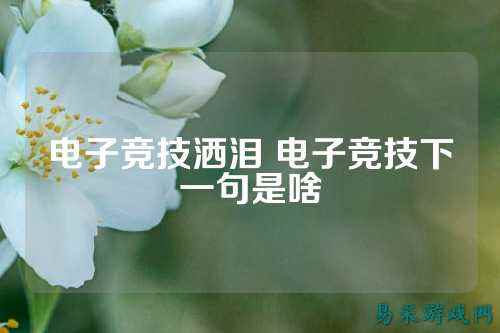 电子竞技洒泪 电子竞技下一句是啥