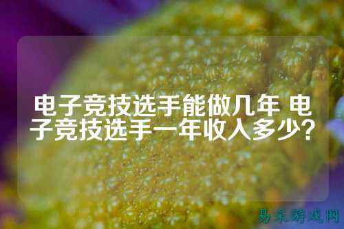 电子竞技选手能做几年 电子竞技选手一年收入多少？