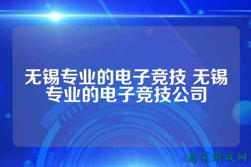 无锡专业的电子竞技 无锡专业的电子竞技公司