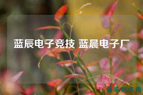 蓝辰电子竞技 蓝晨电子厂