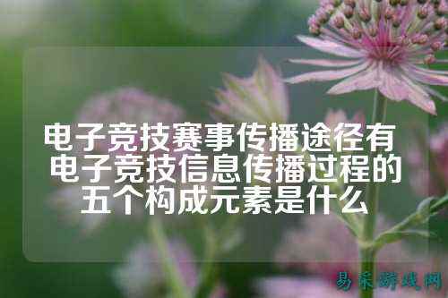 电子竞技赛事传播途径有 电子竞技信息传播过程的五个构成元素是什么
