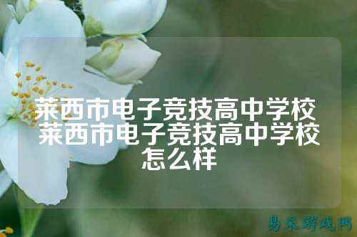 莱西市电子竞技高中学校 莱西市电子竞技高中学校怎么样