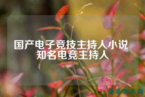 国产电子竞技主持人小说 知名电竞主持人