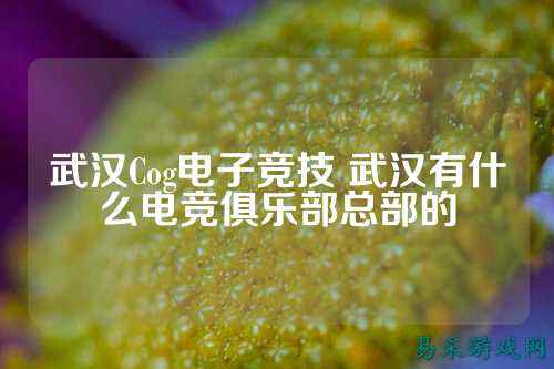 武汉Cog电子竞技 武汉有什么电竞俱乐部总部的