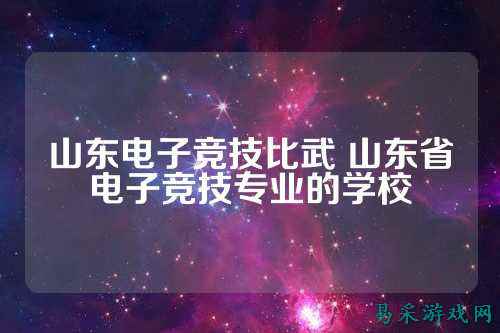 山东电子竞技比武 山东省电子竞技专业的学校