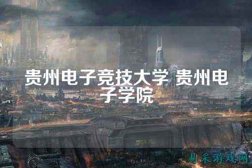贵州电子竞技大学 贵州电子学院