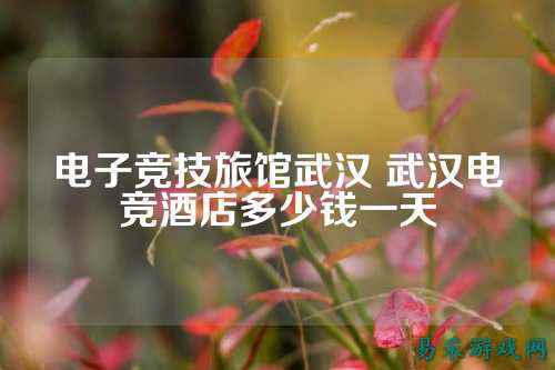 电子竞技旅馆武汉 武汉电竞酒店多少钱一天