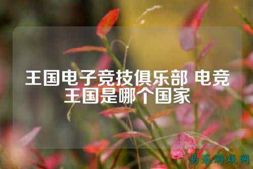 王国电子竞技俱乐部 电竞王国是哪个国家