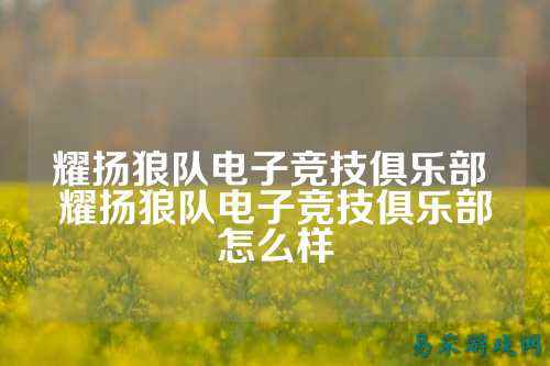 耀扬狼队电子竞技俱乐部 耀扬狼队电子竞技俱乐部怎么样