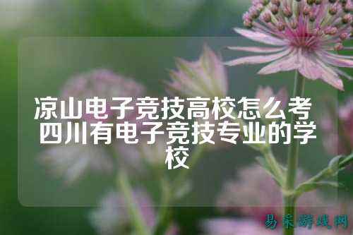 凉山电子竞技高校怎么考 四川有电子竞技专业的学校