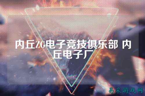 内丘ZG电子竞技俱乐部 内丘电子厂