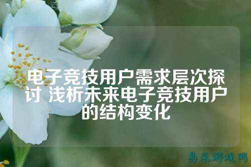 电子竞技用户需求层次探讨 浅析未来电子竞技用户的结构变化