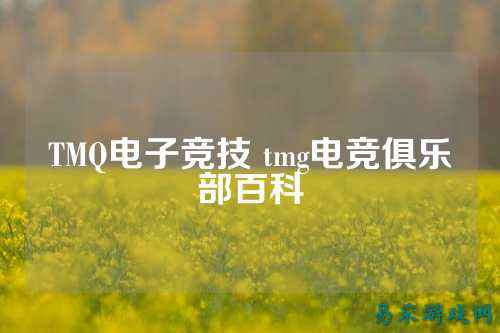 TMQ电子竞技 tmg电竞俱乐部百科