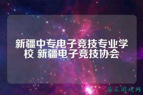 新疆中专电子竞技专业学校 新疆电子竞技协会