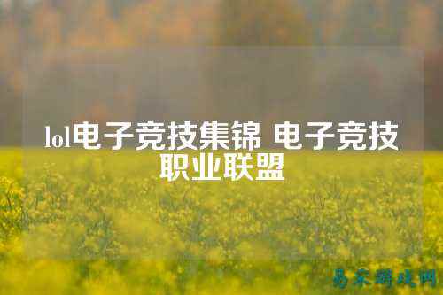 lol电子竞技集锦 电子竞技职业联盟